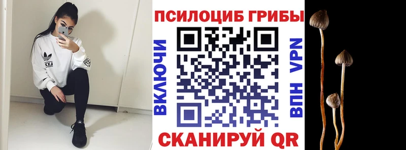 купить наркотик  Горнозаводск  Галлюциногенные грибы Cubensis 